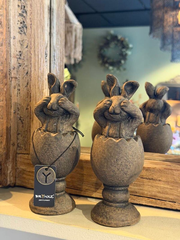 Brynxz Surprise Egg with Hare Majestic Brown