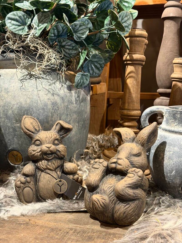 Brynxz Set of 2 Hares Funny- Majestic Brown