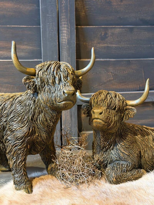 Decoratie Hooglander beeld - Hooglanders zitten en liggend maat M