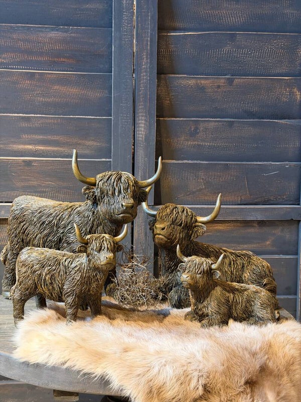 Decoratie Hooglander beeld - Hooglanders zitten en liggend maat S