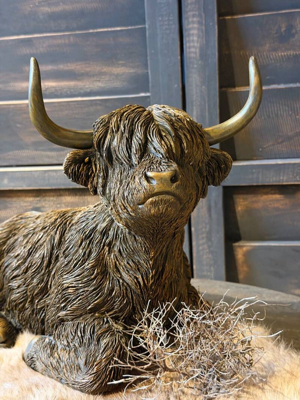 Decoratie Hooglander beeld - Hooglanders zitten en liggend maat L