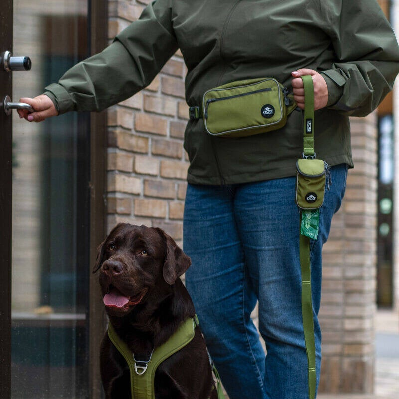 Belt Bag Go Explorer bei finessen4dogs