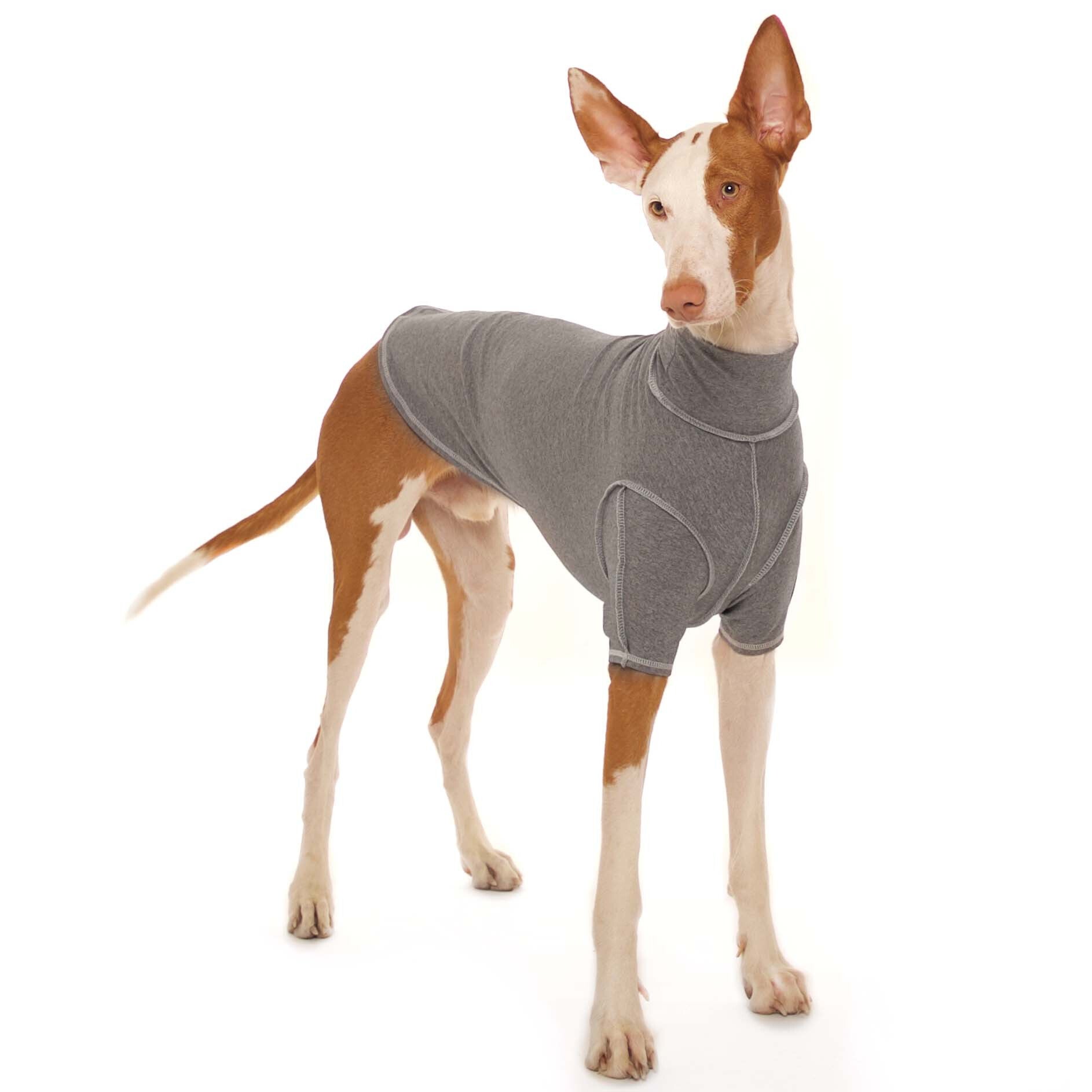 Body Unterwäsche aus Baumwoll-Material für Hunde von Sofa Dog Wear bei finessen4dogs
