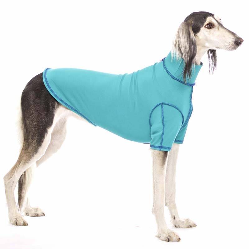 SOFADOGWEAR Unterwäsche aus Baumwoll-Material für Hunde bei finessen4dogs