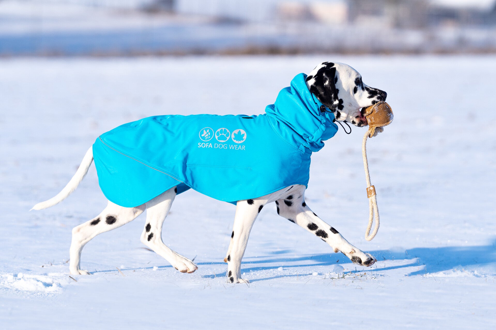 Sofa Dog Wear Pullis und Softshelljacken bei finessen4dogs