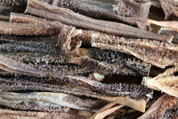 Schafspansen (1000g*)