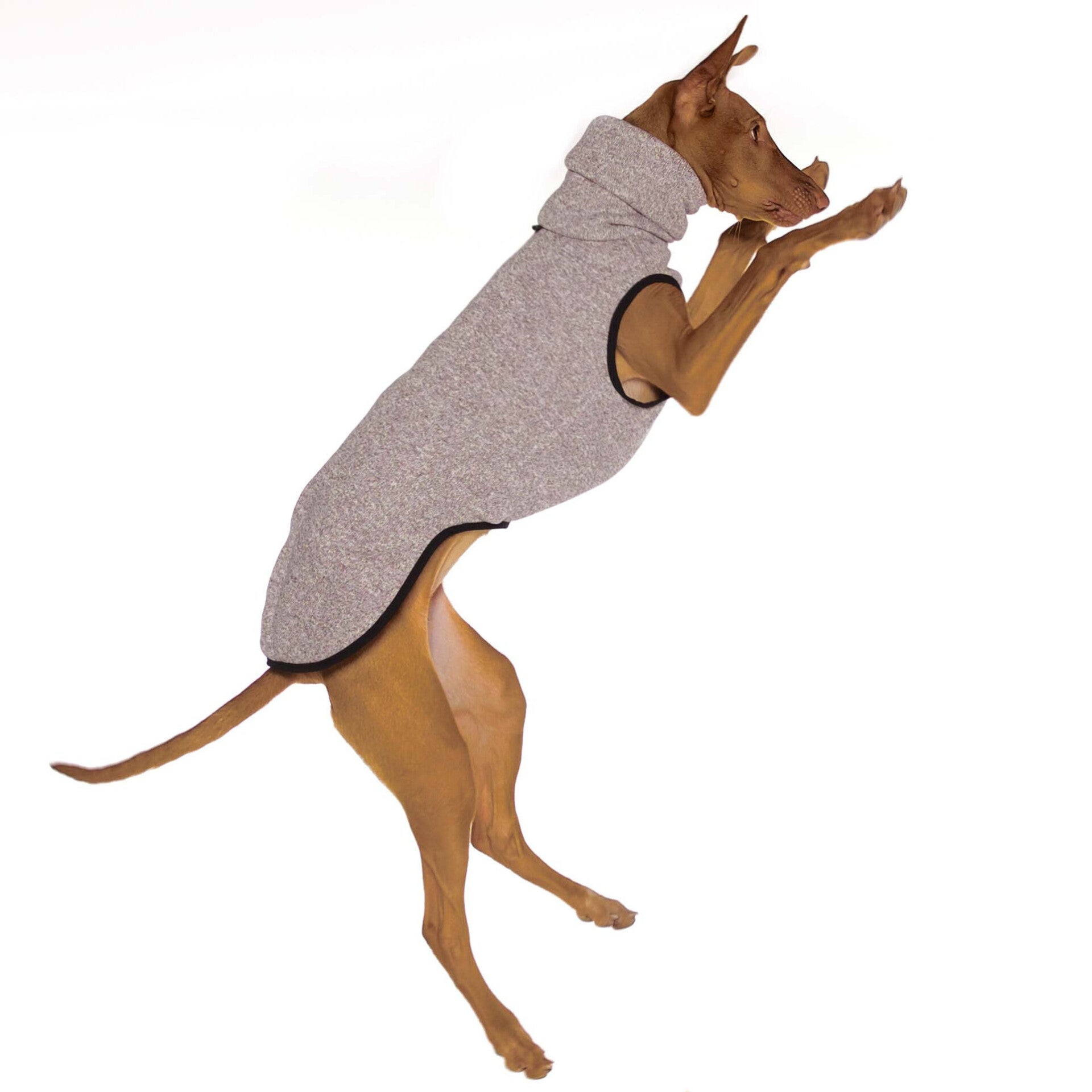 Sofa Dog Wear Hundepulli Hachico K-Jumper für Hunde bei finessen4dogs