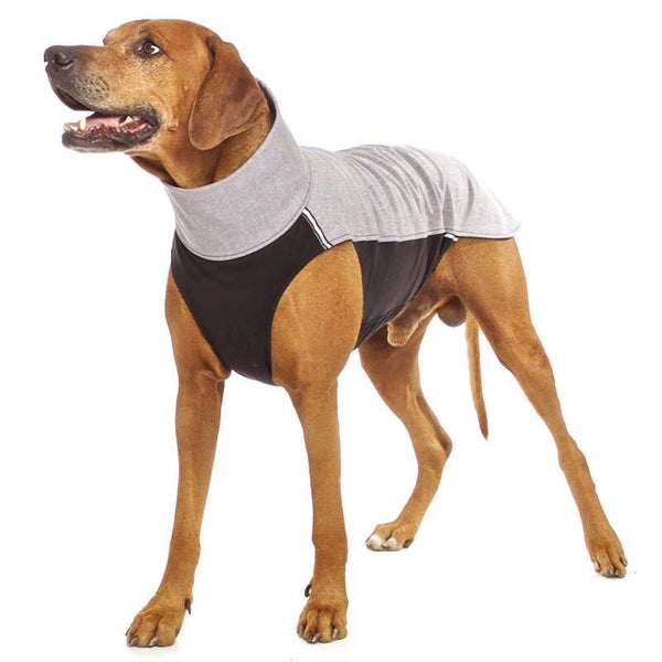 Sofa Dog Wear Hachico RR Softshell GRAU