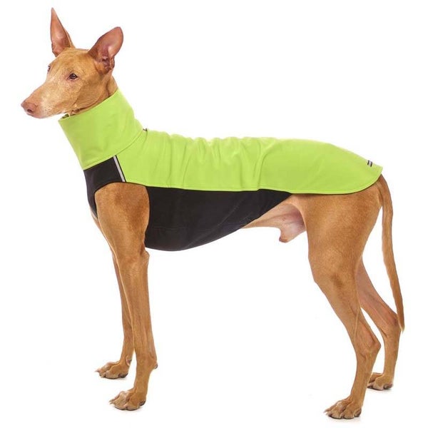 Sofa Dog Wear Hachico Softshell 02 HELLGRÜN