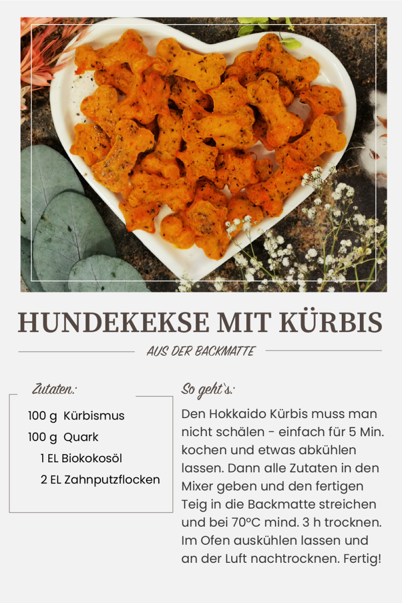 QCHEFS Natürliche Zahnpflege für Hunde bei finessen4dogs Rezepte für Hundeleckerchen