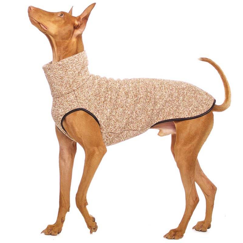 SOFA DOG WEAR Hachico JUMPER 02 bei finessen4dogs