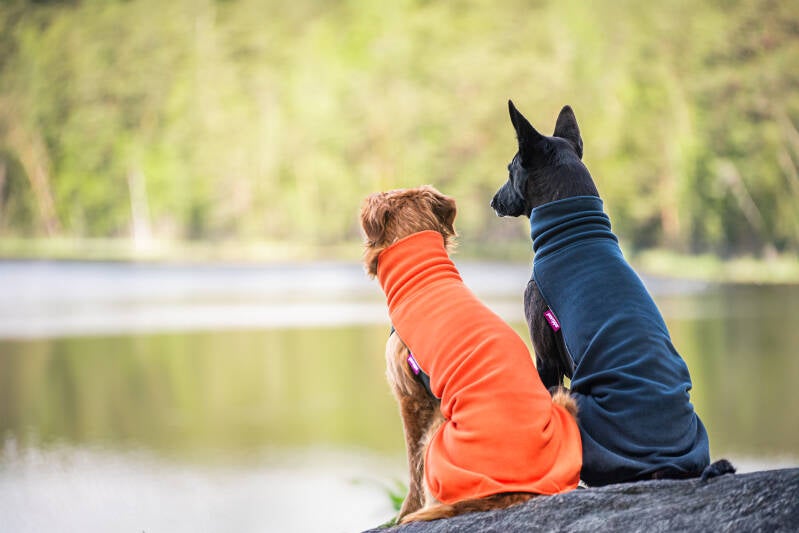 JumppaPomppa bei finessen4dogs Onlineshop