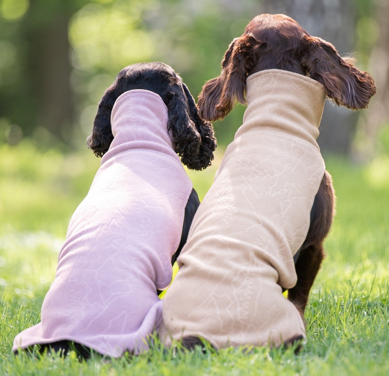 Pomppa Sportti Softshellmantel für 3 Jahreszeiten, Wasserdicht, Winddicht mit seitlichem Reißverschluß bei finessen4dogs