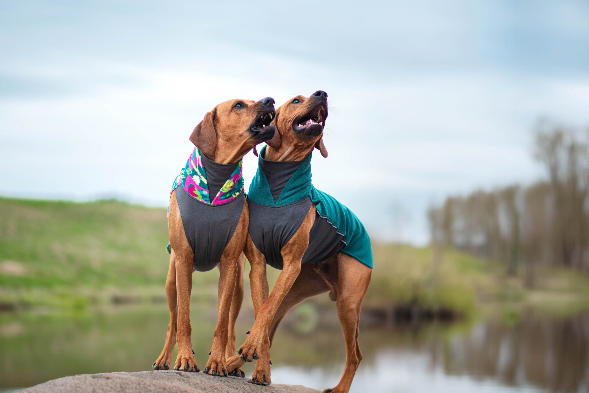 Pomppa Mäntel, Pomppa Pullis