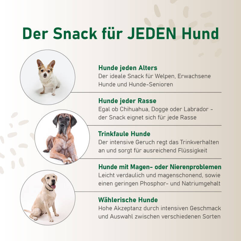 SmoothieDog Huhn Hundesmoothie: Der leichte, gut verdauliche Hundesmoothie für alle Lebenslagen – vom Welpen bis zum Senior.  -Getreidefrei & glutenfrei -Zuckerfrei -Ohne künstliche Zusätze -Lebensmittelqualität