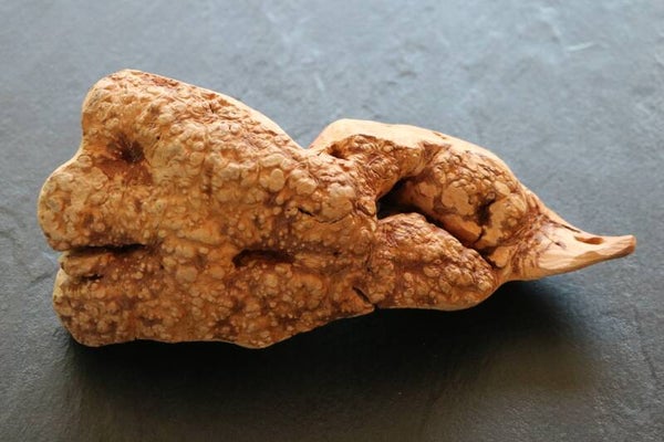 TORGAS ® Kauwurzel -3- Größe M*