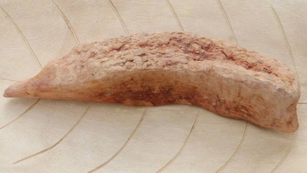 TORGAS ® Kauwurzel -1- Größe S*