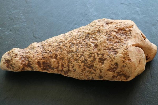 TORGAS ® Kauwurzel -1- Größe XL*