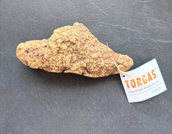 TORGAS ® Kauwurzel Größe M**