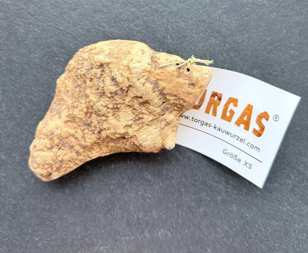 TORGAS ® Kauwurzel Größe XS**
