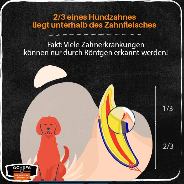 QCHEFS Natürliche Zahnpflege für Hunde bei finessen4dogs