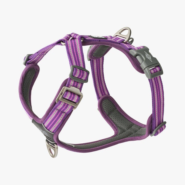 DOG Copenhagen V3 Comfort Walk Air Harness (Hundegeschirr) *Purple Passion*