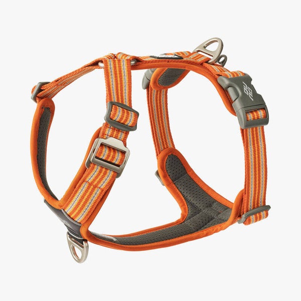 DOG Copenhagen V3 Comfort Walk Air Harness (Hundegeschirr) Orange Sun