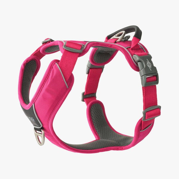 DOG Copenhagen V3 Comfort Walk Pro Geschirr mit Griff (Hundegeschirr) Wild Rose