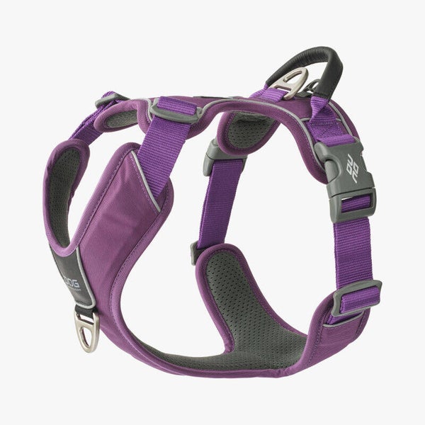 DOG Copenhagen V3 Comfort Walk Pro Geschirr mit Griff (Hundegeschirr) Purple Passion