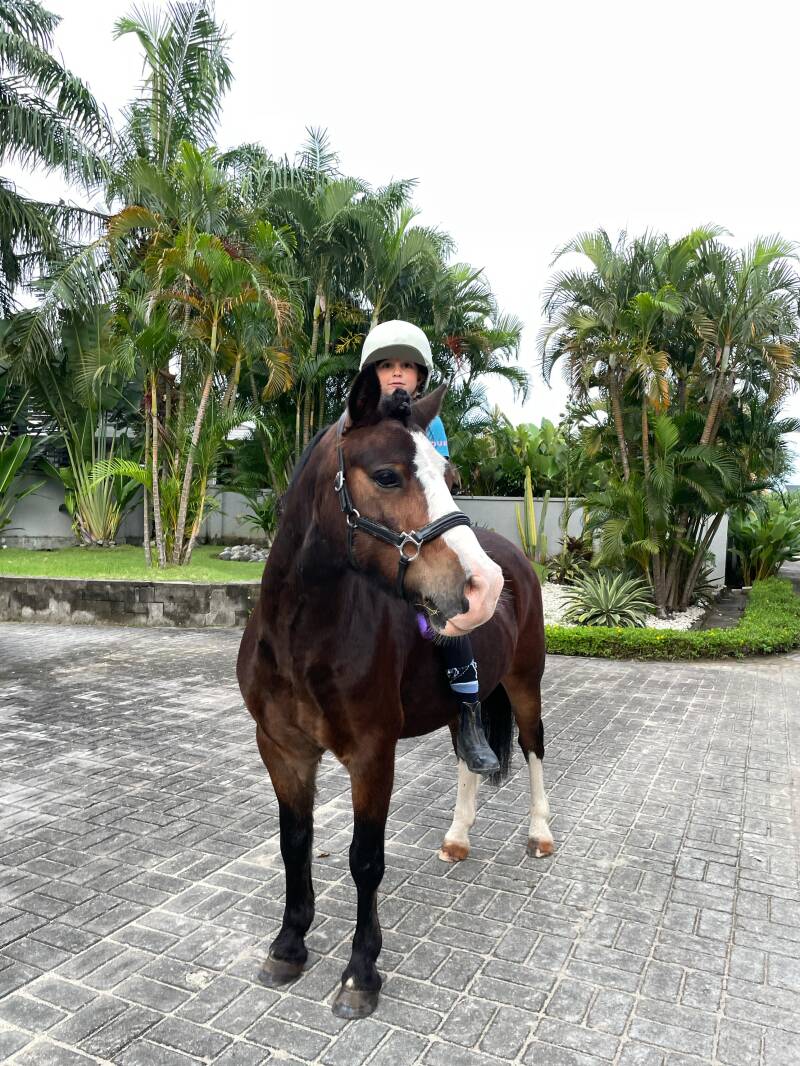 Vigo VIP - Indonesië 🇮🇩 