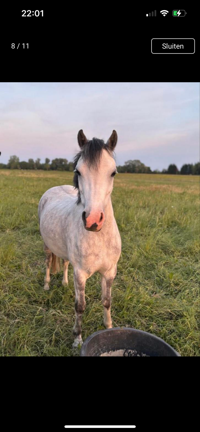 Monchou VIP - Nederland 🇳🇱 