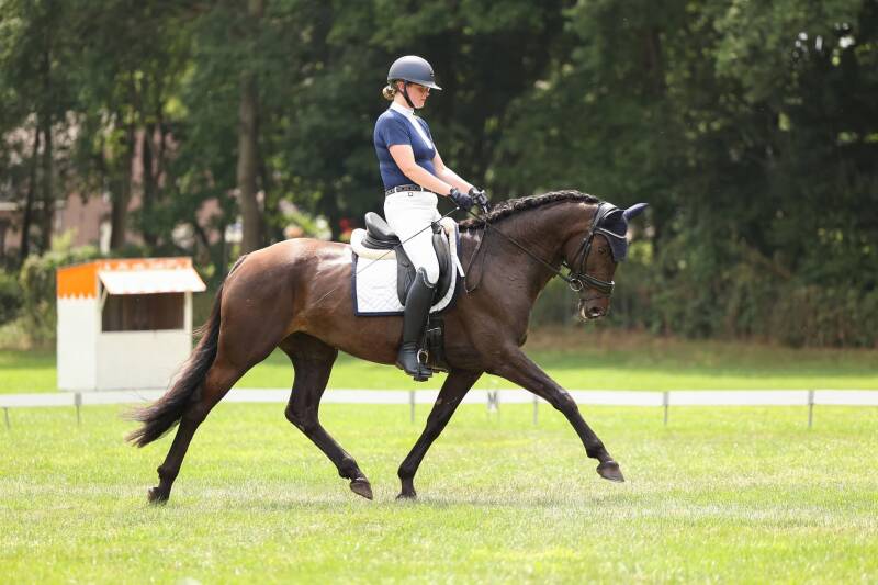 Ibiza VIP - Nederland 🇳🇱 