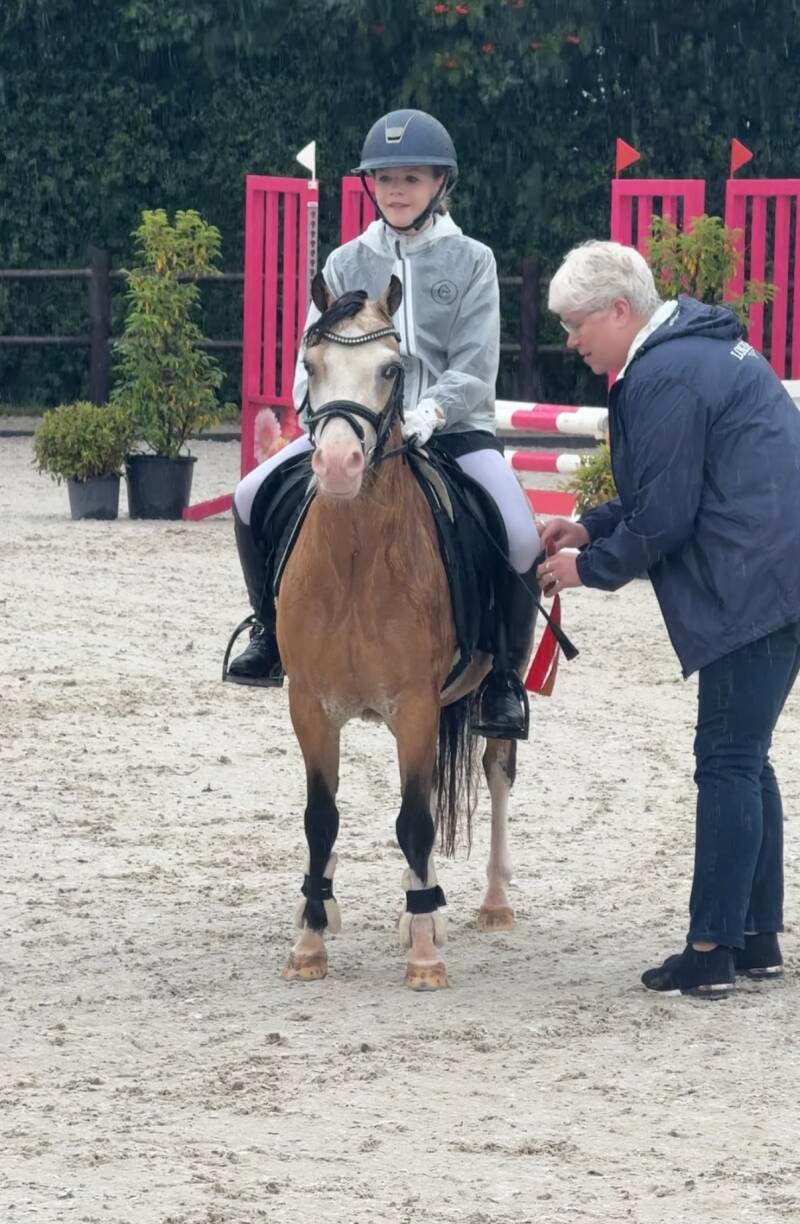 Bonbon Billionaire VIP - Nederland 🇳🇱 