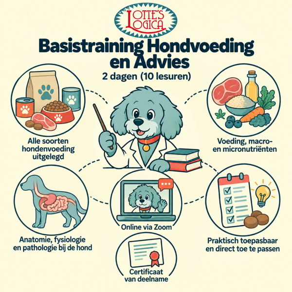 2 daagse basistraining hond, voeding en advies