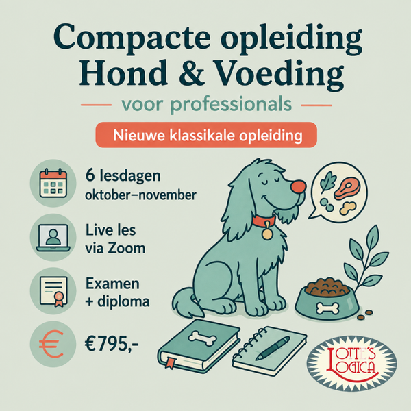 Compacte praktijkopleiding