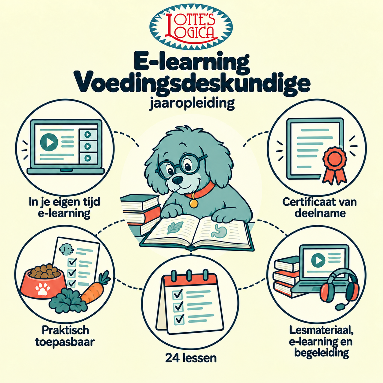 Jaaropleiding Voedingsdeskundige, Zelfstudie