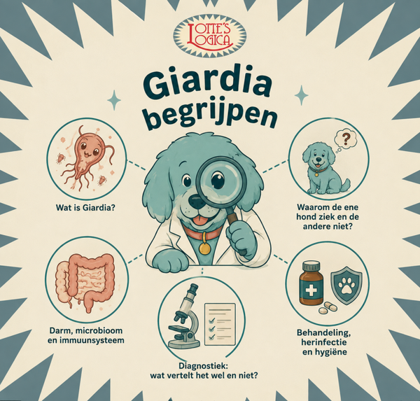 Lezing Giardia Begrijpen 16 november