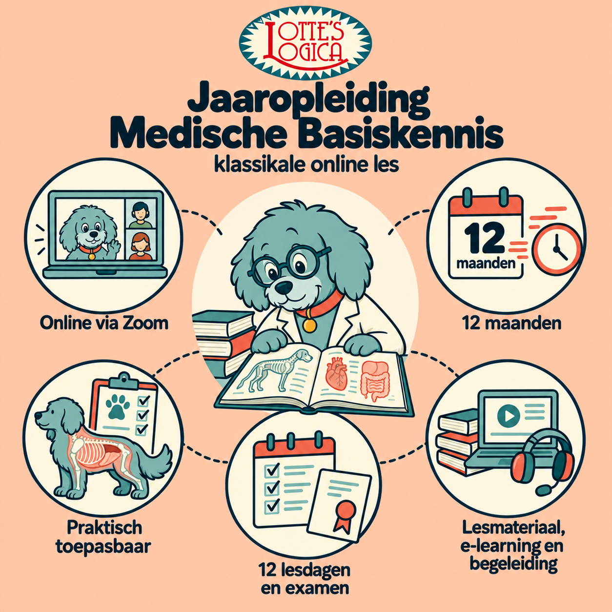 Jaaropleiding Medische kennis, Klassikaal start sept 2026