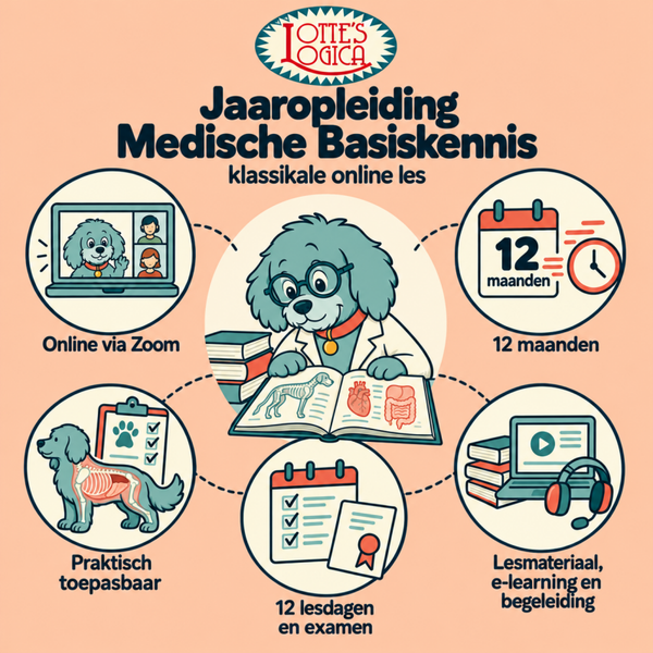 Jaaropleiding Medische kennis, Klassikaal start sept 2026