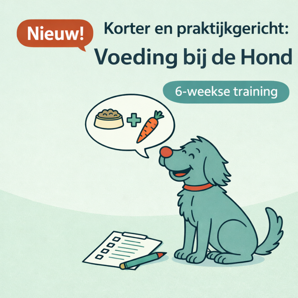 Korte praktijkopleiding voor professionals