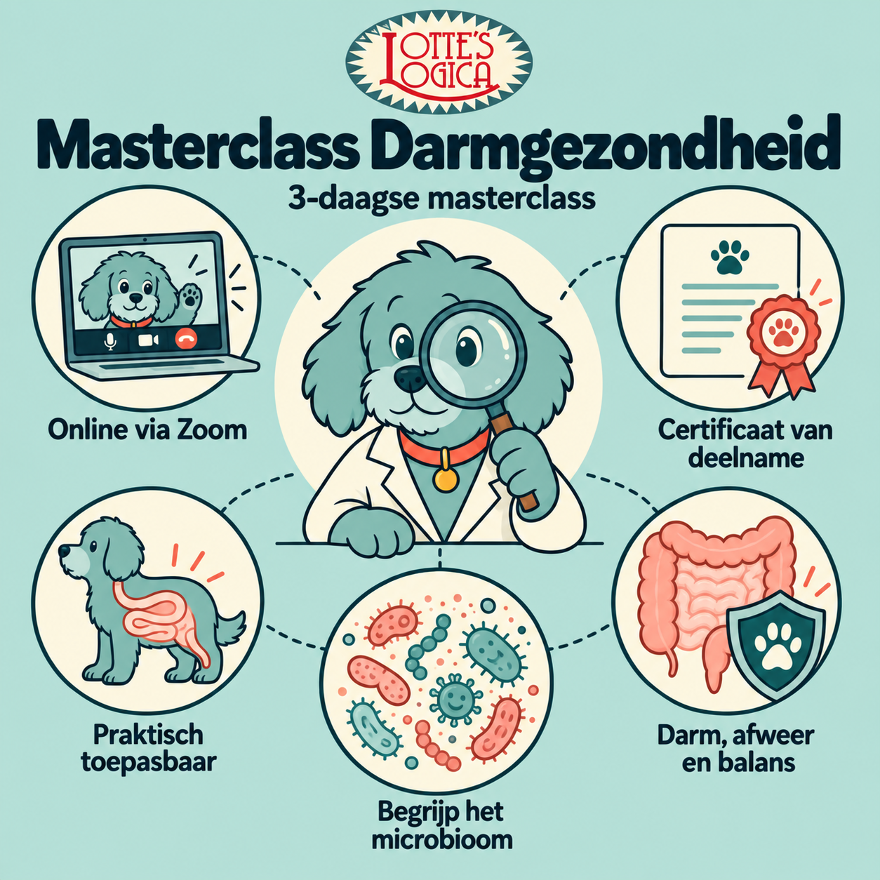3-daagse Masterclass Darmgezondheid december (15 plaatsen beschikbaar)