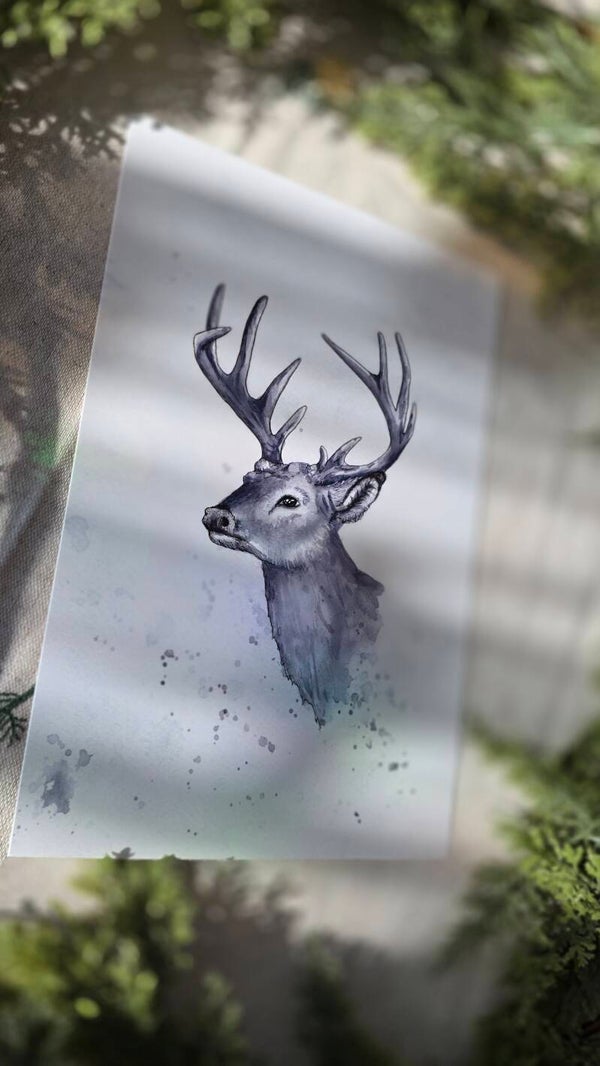Proud deer / Stolt hjort