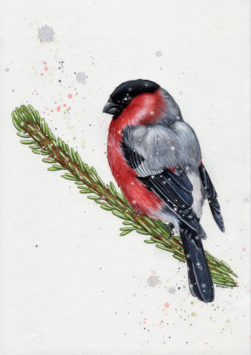 Vinterens hjertevarme