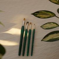 dsc09655-standard.jpg