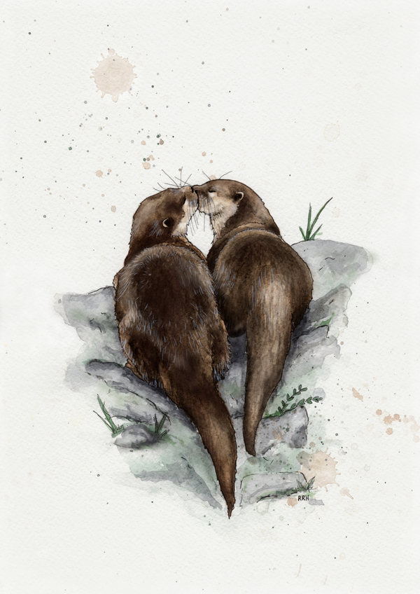 A Caress in Nature / Kjærtegn i naturen