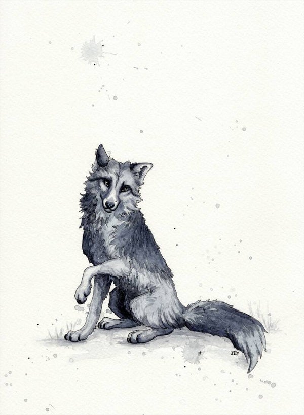 Winter’s Beauty / Vinterens skjønnhet