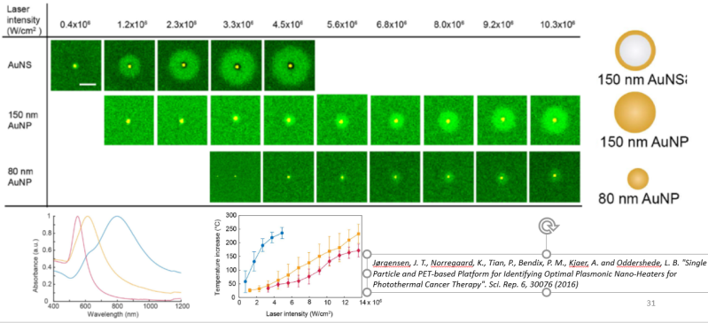 Irradiated nanoparticles adhered on top of a 5nm thin lipid bilayer create a localized phase transition in the bilayer which has a transition temperature just above room temperature (33C).  Gold nanoshells heat more than solid gold NPs at the same T.