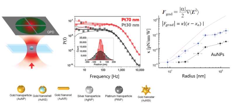 A) Image shows a schematic of optical trapping and position detection by QPD of a nanoparticle.  B) shows two power spectra and position histograms of a trapped PT nanoparticle at high and low laser power. C) Trapping constants of AuNPs versus size.