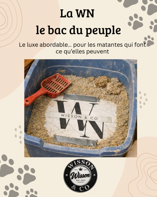 Le bac du peuple