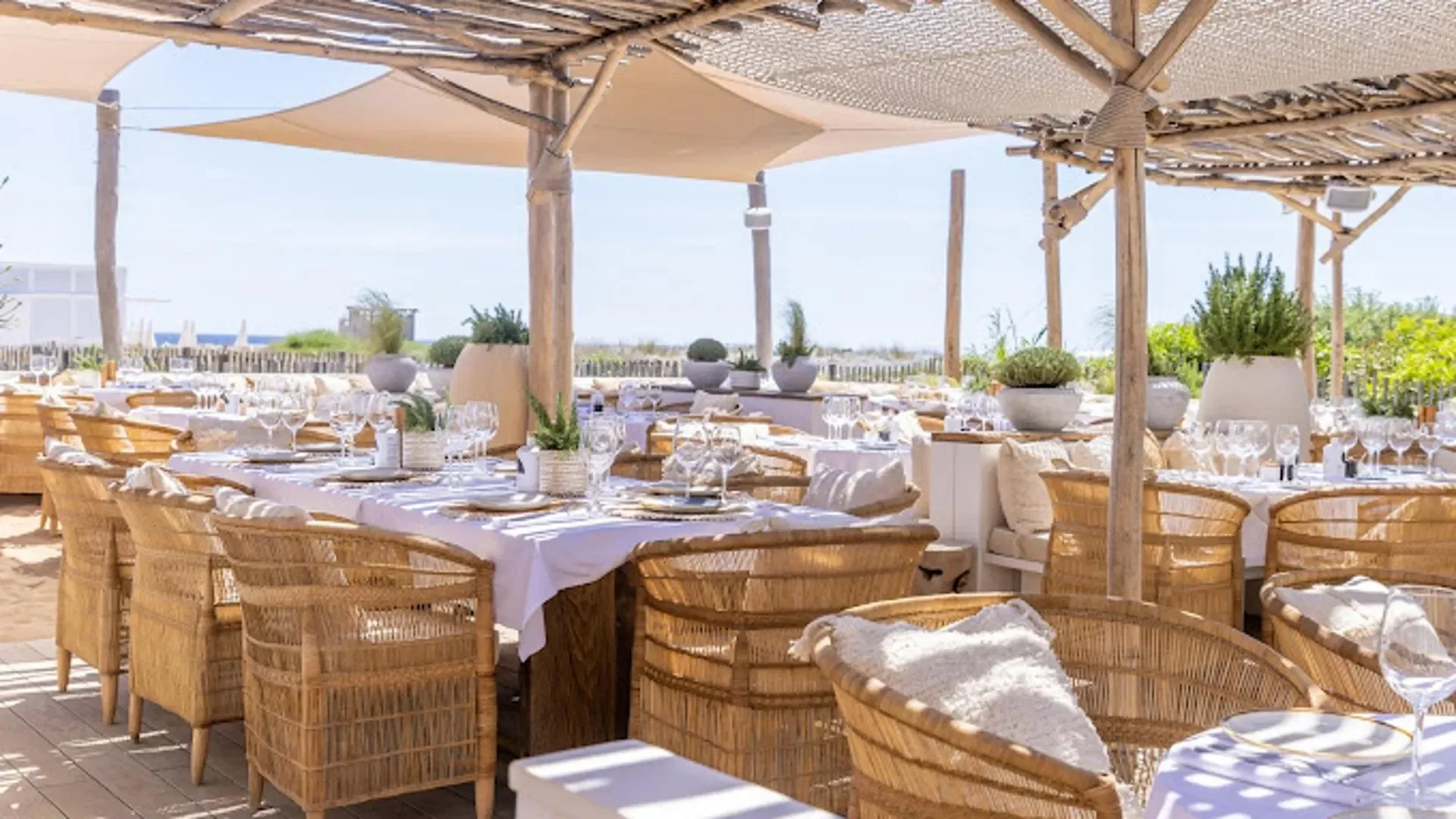 Club Les Palmiers Saint-Tropez - MSC Yachting Saint-Tropez